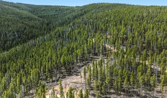 653 Summit Gulch Rd Lot 1, Breckenridge, CO 80424