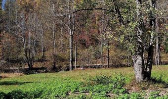 0 N Forks Rd, Amherst, VA 24521