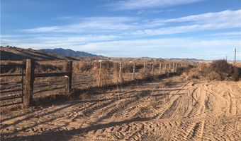 Quarter Horse, Caliente, NV 89008