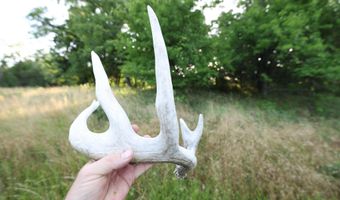 607 Hwy 69, Arma, KS 66712