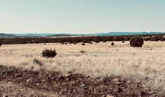 90 B Volcano Trl, Ash Fork, AZ 86320