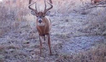 652 Nd St, Albia, IA 52531