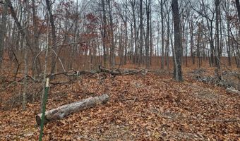 Tbd County Road East 76-211, Ava, MO 65608