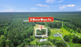 1 Marion Woods Trl, Bonneau, SC 29431