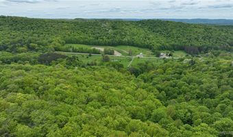 3090 Morgan Hollow Rd, Allegany, NY 14706