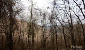 Jacks Knob Road, Barnardsville, NC 28709