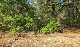 Strawberry Valley Road, Ash Flat, AR 72513