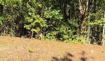 Main St and Hwy 1, Alberta, VA 23821