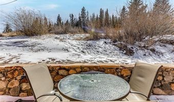 29 S Oak St, Alma, CO 80420