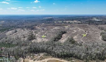 919 County Road 6628, Banks, AL 36005