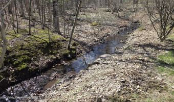 141 Old S Durham Hwy, Acra, NY 12405