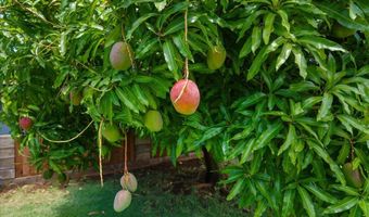 145 Lanakila Pl, Kihei, HI 96753