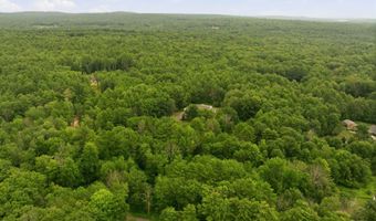 66 Lyford Rd, Brookfield, NH 03872