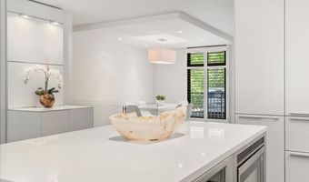 800 E Hopkins Ave A-3, Aspen, CO 81611