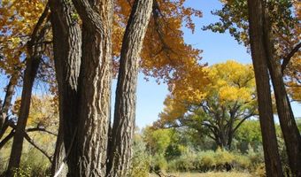 22 23 24 Private Drive 1617A, Abiquiu, NM 87510