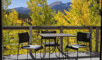 1139 BOREAS PASS Rd, Breckenridge, CO 80424