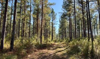 TBD Binnicker Bridge Road, Bamberg, SC 29003