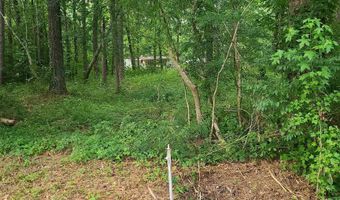 000 SHORE Dr 420, 421, 422, Ashville, AL 35953
