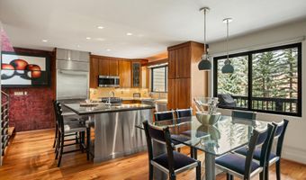 650 S Monarch St 9, Aspen, CO 81611