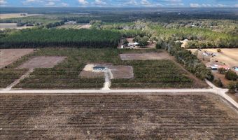 965 NW 55th Ave, Bell, FL 32619