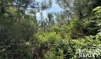 Cooper Lake Road, Bastrop, LA 71220