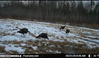 0000 CTH H, Antigo, WI 54409