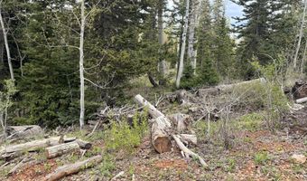 646 W Ski View Dr, Brian Head, UT 84719