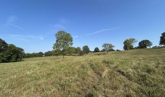 14442 State Highway Af, Ava, MO 65608