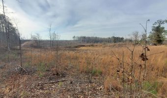 85 6+/- Acres County Road 2291, Booneville, MS 38829