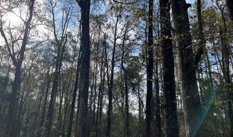 13962 Alabama Highway 95 N, Abbeville, AL 36310