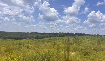 0 CR-215, Ariton, AL 36311