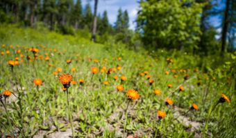 429 Chief Cliff Trl, Bigfork, MT 59911