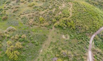 3714 Bear Ridge Rd, Basalt, CO 81621