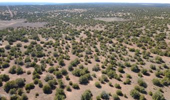 24 County Road 8063, Concho, AZ 85924