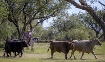 3155 W Elephant Head Rd, Amado, AZ 85645