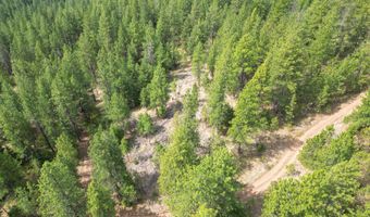 NNA USFS 2550 40 acres, Blanchard, ID 83804