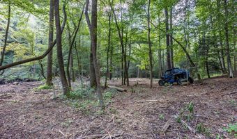 23 59 Ac Chestnut Flats Rd, Andrews, NC 28901