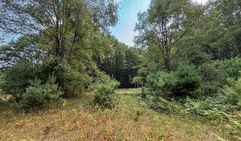 39 Acres N Pingree Rd, Alma, MI 48801