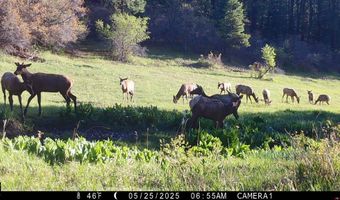 15098 CR 240, Bayfield, CO 81122