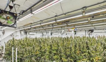 Fickle Hill Road, Arcata, CA 95521