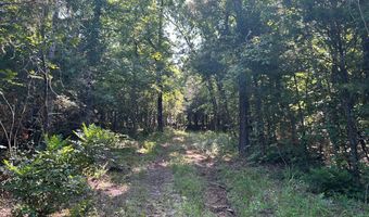 Reeves Road, Ashland, MS 38603