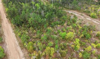 Channel Drive, Alford, FL 32420