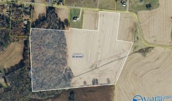 30 Acres Stevenson Rd, Ardmore, TN 38449