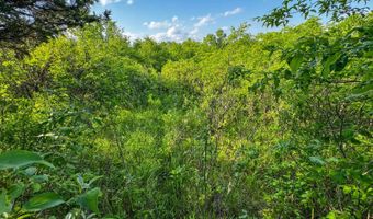 1471 576th Ave, Albia, IA 50150