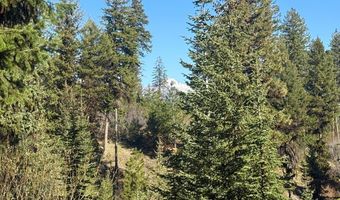 Urban Lane lot 5, Cascade, ID 83611