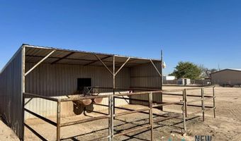 4405 S Thomason Rd, Carlsbad, NM 88220