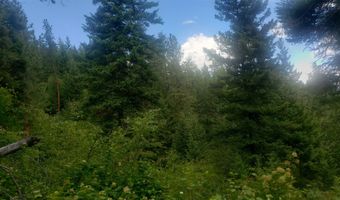 Arlee Pines lot 20, Arlee, MT 59821