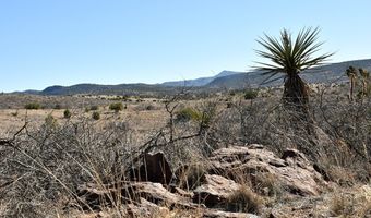 100 High Lonesome, Alpine, TX 79830