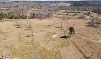 tbd 54.89 Acres N Hwy 53, Arkadelphia, AR 71923