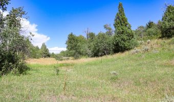 1780 Sadorus Hill Rd, Ashton, ID 83420